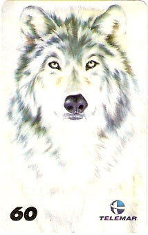 RJ-1337 - Diana Santos - 06