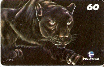 RJ-1335 - Diana Santos - 04