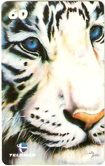 RJ-1341 - Diana Santos - 10