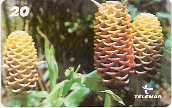 RJ-1418 - Natureza - B1