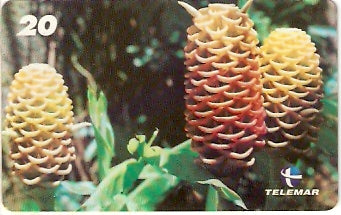 RJ-1426 - Natureza - B9