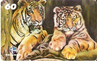 RJ-1464 - Diana Santos - 2