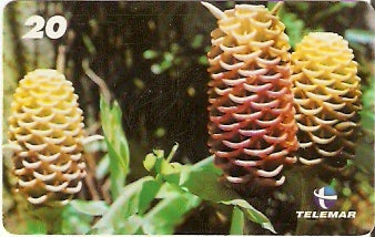 RJ-1586 - Natureza - B15