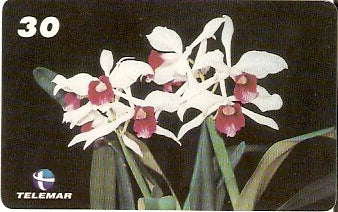 RJ-1639 - Orquídeas - 01/10