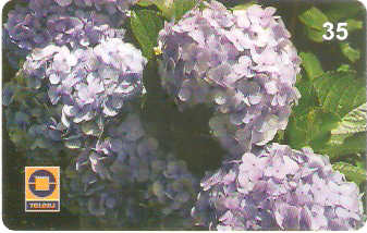 RJ-0670M - Hortencia