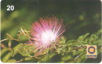 RJ-0677M - Esponjinha