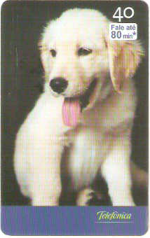 SP-2520 - Filhotes - 07/10 - A