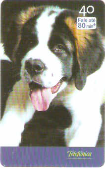 SP-2531 - Filhotes - 10/10 - A