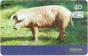 SP-2801 - Curiosidades - 4/6