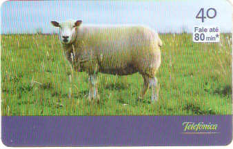 SP-2802 - Curiosidades - 5/6 - A