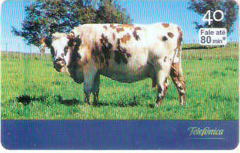 SP-2805 - Curiosidades - 6/6 - B