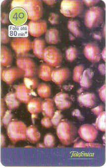 SP-2948 - Café - 2/6