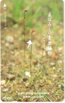 JAP-291-046