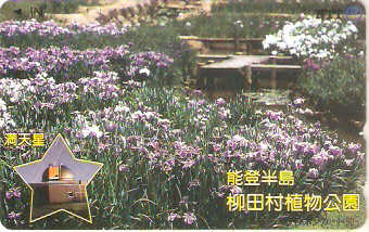 JAP-311-083