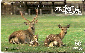 JAP-331-021