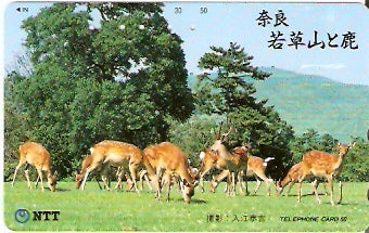JAP-331-097