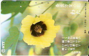 JAP-331-098