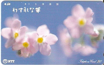 JAP-331-137