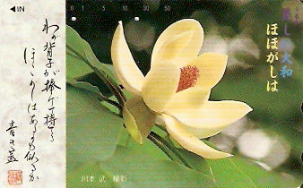 JAP-331-142