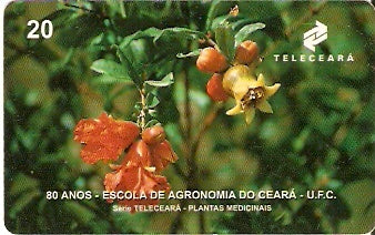 CE-065 - Romã