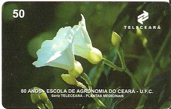 CE-066 - Batata de Purga