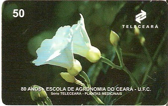 CE-067 - Batata de Purga