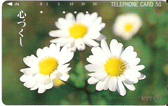 JAP-331-216