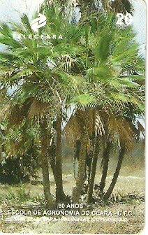 CE-127 - Glabrescens