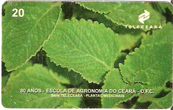 CE-139 - Malvariço