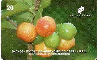 CE-143 - Acerola