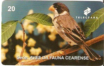 CE-152 - Golinha