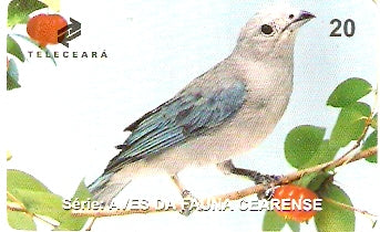 CE-159 - Sanhaço