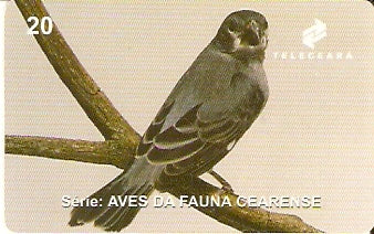CE-154 - Patativa