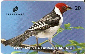 CE-157 - Galo da Campina
