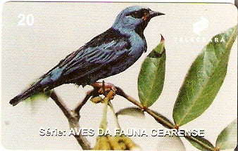 CE-158 - Verdelinho