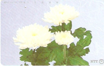 JAP-331-361