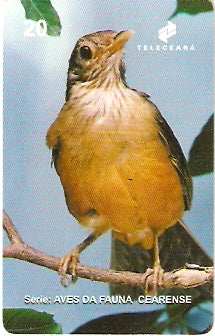 CE-160 - Sabiá-Laranjeira