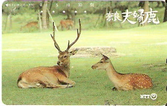 JAP-331-376
