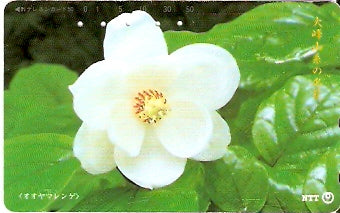 JAP-331-428