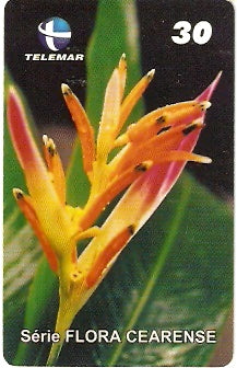 CE-216 - Pacavira