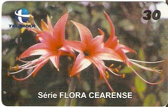 CE-214 - Açucena