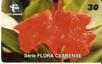 CE-215 - Cana-da-Índia