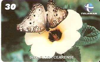 CE-218 - Chanana