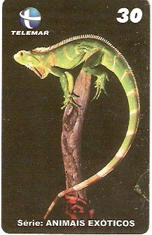 CE-231 - Animais Exóticos - 02/11