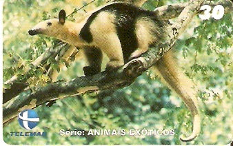 CE-238 - Animais Exóticos - 09/11