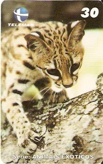 CE-237 - Animais Exóticos - 08/11