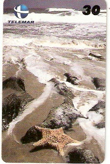 CE-248 - Estrela do mar