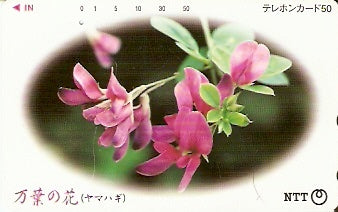 JAP-331-497
