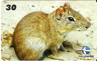 CE-360 - Preá do Mato