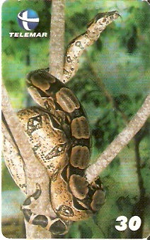 CE-362 - Cobra-de-Veado